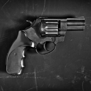 Firearms Maintenance: Pistols and Revolvers Gun Shop Boca
